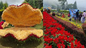 சேலம் ஏற்காட்டில் இன்று மலர் கண்காட்சி ஆரம்பம்.. கோடை விழாவில் பெரிய சர்ப்ரைஸ் உண்டு மக்களே.. ரெடி?