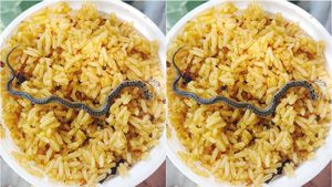 ஓசூர் சந்திரசூடேஸ்வரர் கோவில் பிரசாதத்தில் பாம்பு குட்டி எப்படி? ஆக்ஷன் எடுத்த அதிகாரி விசாரணை