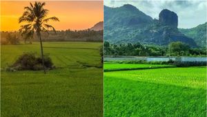  கன்னியாகுமரி விவசாயிகள் வங்கி கணக்கில் நேரடியாக வரப்போகும் ரூ.4000.. வேளாண் அதிகாரி விளக்கம்