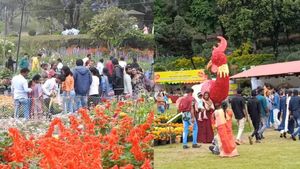 ரெடி ஆகுங்க மக்களே.. கொடைக்கானலில் 24 முதல் கோடை விழா! குளு குளு சீசனை அனுபவிக்க புதிய அருவி வருது