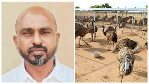 ஈமு மோசடி: சுசி ஈமு கோழி உரிமையாளருக்கு 10 ஆண்டு சிறை, ரூ.7.80 கோடி அபராதம் விதித்த நீதிமன்றம் 