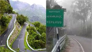 சேலம் ஏற்காடு மலைக்கு சுற்றுலா வந்த இளைஞர்கள் வெளியிட்ட ஒற்றை வீடியா..  மொத்த போலீசும் இப்ப தேடுது