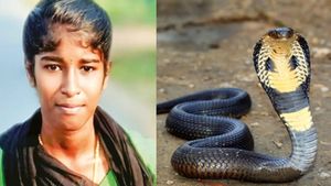 விருதுநகர் அருகே வீட்டு வாசலில் சென்ற அரசு கல்லூரி மாணவி..  எமனாக அங்கேயே காத்திருந்த பாம்பு