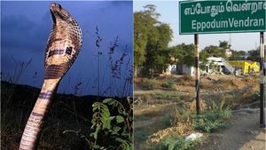 தூத்துக்குடியில் வீட்டு வாசலில் தூங்கி கொண்டிருந்த விவசாயி.. எமன் போல் என்ட்ரியான நாகப்பாம்பு 