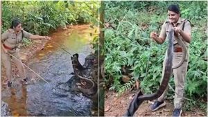 18 அடி நீள ராஜநாகம்.. அசால்ட்டாக பிடித்த பெண் வனத்துறை அதிகாரி! மெய்சிலிர்க்கும் வீடியோ