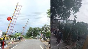 ஜஸ்ட் மிஸ்.. ரயில் லோகோ பைலட்டே இறங்கி வந்து கேட்டை மூடிவிட்டு சென்றதால் பரபரத்த திருவண்ணாமலை 