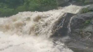 கனமழை காரணமாக கோவை குற்றால அருவியில் வெள்ளப்பெருக்கு.. சுற்றுலா பயணிகளுக்கு அனுமதி மறுப்பு!