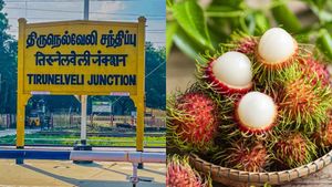 ரம்புட்டான் பழம் சாப்பிட்ட சிறுவன் பலி! சாவு இப்படி கூடவா வரும்? நெல்லையில் பெற்றோர் கண்ணீர்