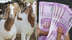 விர்ருனு  திருவண்ணாமலையில் ஏறிய ஆடுகள்.. செங்கம் ஆட்டு சந்தையில் வியாபாரிகள் குஷி.. ஆடி மாதம் அசத்தல்