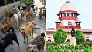 தெருநாய்களை காப்பகத்துக்கு அனுப்பும் நடவடிக்கைக்கு தடை.. உச்சநீதிமன்றம் அதிரடி உத்தரவு