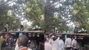 Monkey: ரூ 80 ஆயிரம் பணப்பையை பறித்த குரங்கு! லக்னோவில் 