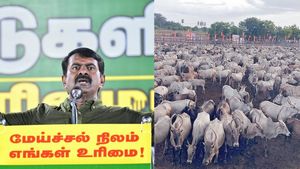 தேனி மேற்கு தொடர்ச்சி மலையில் சீமான் மாடு மேய்க்கும் போராட்டம்! கால்நடைகளுடன் மலையேறிய நாதக