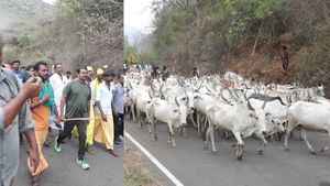 மலை மாடுகளோடு நைக் ஷூவுடன் மலையேறிய சீமான்! தேனியில் நாம் தமிழர் செய்த சம்பவம்! சொன்னதை செஞ்சிட்டாரே 