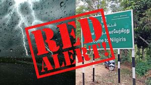 வந்துருச்சு ’ரெட்’ தக்காளி.. ஹை அலர்ட்டில் நீலகிரி! ஏதாவது அவசரம்னா இந்த நம்பருக்கு கால் பண்ணுங்க!