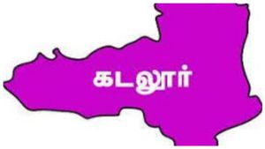 விஏஓ சாவித்திரி கடலூரில் விழுந்தடித்து ஓடிவந்து.. சேத்தியாத்தோப்பு மண்ணில் ஆச்சரியம் பாருங்க! பரவசம்