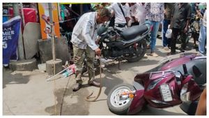 மார்க்கெட்டில் பைக்கை திறந்த பெண்ணுக்கு ஷாக்.. கோவை காந்திபுரத்தை அலறவிட்ட நாகப்பாம்பு