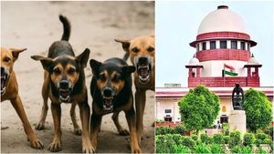 தெருநாய்களுக்கு கருத்தடை ஊசி போட்டு.. பிடிக்கப்பட்ட இடத்திலேயே விட வேண்டும்! -உச்சநீதிமன்றம்