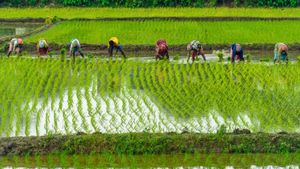 2 லட்சம் பணம் மற்றும் விருது.. செப்டம்பர் 15ம் தேதி கடைசி நாள்.. விவசாயிகள் விண்ணப்பிப்பது எப்படி? 