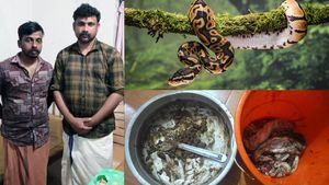 மலைப்பாம்பை பிடித்து.. ‛சுக்கா' சமைத்து சாப்பிட்ட 2 பேர்.. அதிர வைத்த சேட்டன்கள்   