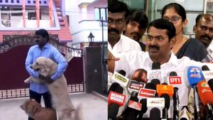 நாட்டு நாய்..நம் வீட்டு நாய்! வெளிநாட்டு நாய்களால் தெருநாய்கள் ஆகிவிட்டது.. நாம் தமிழர் சீமான் வேதனை