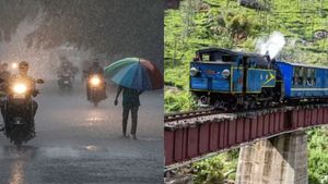 மிரட்டும் கனமழை.. மலை ரயில் சேவை ரத்து.. மூடப்பட்ட நீலகிரி கோவை சுற்றுலா தலங்கள்