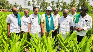 கிட்னிய கூட ஆட்டைய போட்றாங்க.. கனிமொழி சொன்னால் ஸ்டாலின் டாஸ்மாக்கை மூடுவார்! அன்புமணி கலகல