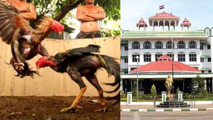ஜல்லிக்கட்டை போல் சேவல் சண்டைக்கும் சட்டத்திருத்தம் செய்தால் அனுமதி! மதுரை கிளை நீதிபதி 