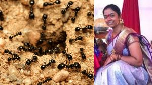 எறும்புக்கு பயந்து 25 வயது பெண் தற்கொலை.. உருக்கமான கடிதம்.. தவிக்கும் 3 வயது மகள் - கணவர்