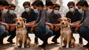 தெருநாயை கூட விட்டு வைக்கவில்லை..  இயற்கைக்கு மாறாக உறவு  வைத்த 4 பேர்?  பெங்களூரில் வினோத புகார்