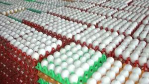 உயர்ந்த பட்ச விலையில் நாமக்கல் முட்டைகள்.. கறிக்கோழி பண்ணையாளர்கள் பெரிய அதிரடி! இன்று முதல் அமல்