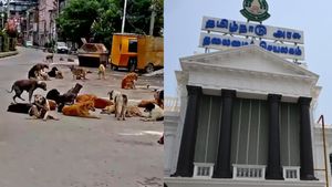 தெருநாய்கள் விவகாரம்.. என்ன நடவடிக்கை? உச்சநீதிமன்றத்தில் தமிழக அரசு பிரமாண பத்திரம் தாக்கல்