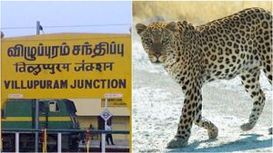 பதுங்கி பாய்ந்த சிறுத்தை.. விரைத்து நிற்கும் விழுப்புரம்! தேடுதல் வேட்டையில் வனத்துறையினர் தீவிரம்
