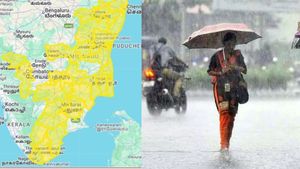 அடுத்த 1 மணி நேரத்துக்கு மழை விடாது! சென்னை டூ குமரி வரை.. தமிழகம் முழுக்க 28 மாவட்டங்களுக்கு அலர்ட்