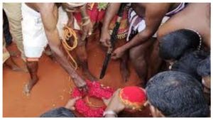 சிவப்பு மண்ணில் பரவசமூட்டும் கள்ளர் வெட்டுத் திருவிழா! தூத்துக்குடி கற்குவேல் அய்யனார் கோயில் மகிமை