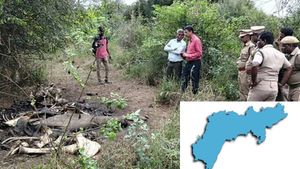 வேலூர் காட்டுக்குள் மர்மம்! பேர்ணாம்பேட்டு குட்டைக்குள் பார்த்தால் 