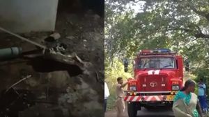 கரும்சாரை பாம்பு திருவண்ணாமலைக்கு வந்து.. நிழற்கூடத்தில் 5 அடி விஷப்பாம்பு தந்த சூப்பர் சர்ப்ரைஸ்