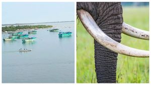 ராமநாதபுரம் டூ இலங்கை.. யானை தந்தம் 4 கிலோ ரூ. 1 கோடியாம்.. வசமாக போலீஸில் சிக்கிய கடத்தல்காரர்கள்