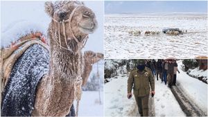 சவுதியில் எங்கு பார்த்தாலும் பனிப்பொழிவு.. காஷ்மீர் போல ஜில் ஜில் கிளைமேட்! இதற்கு என்ன காரணம்!