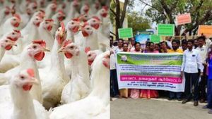 ஒரு கிலோ சிக்கன் 380 ரூபாய்.. கிடுகிடுவென உயர்ந்த கறிக்கோழி விலை.. உயர்வுக்கு காரணம் என்ன?