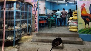 சிக்கன் விலை அதிரடியாக உயருகிறது.. திருப்பூர், கோவை, நாமக்கலில் அதிரடி முடிவு 