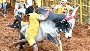 முடிஞ்சா தொட்டு பாரு! மதுரை அலங்காநல்லூர் ஜல்லிக்கட்டு போட்டியில் சீறும் காளைகள்! கலர் கலர் பரிசுகள்
