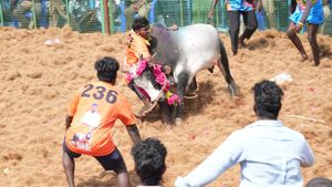  ஜல்லிக்கட்டு போட்டிகளில் சோகம்.. சும்மா வேடிக்கை பார்க்க போன 6 பேர் காளைகள் முட்டி பலி!