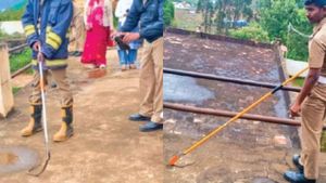 ராஜநாகம் 12 அடி நீலகிரியில்.. பந்தலூரில் பாம்பு மழை! அரசு பள்ளியில் குபுகுபுவென புகுந்த 16 பாம்புகள்