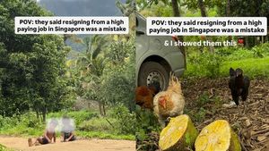 கை நிறைய சம்பளம்.. ஆனாலும் சிங்கப்பூர் வேலையை உதறிவிட்டு வந்த இந்தியர்கள்! காரணத்தை பாருங்க