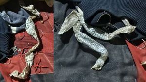 “என் மகள் பாம்பாக மாறிவிட்டாள்”.. பதறிய அப்பா.. இளம்பெண்ணின் ‘பயங்கர’ பிளான்.. நடந்தது என்ன?