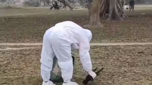 கொத்துக் கொத்தாக சரிந்த காகங்கள்! பீகாரில் அலறியடித்து ஓடிய பொதுமக்கள்.. அந்த மரத்தடியில் என்னாச்சு