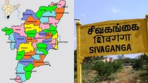 இலுப்பைக்குடி வரும் பிரம்மாண்ட தொழிற்சாலை.. தமிழக குக்கிராமங்களில் கூட.. குவியும் மெகா முதலீடுகள்! 