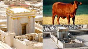 ஜெருசலேமில் 3-வது கோவில்? இஸ்ரேலின் அதிரடித் திட்டம்! உலக நாடுகளை அதிரவைக்கும் 'சிவப்பு பசு' ரகசியம்