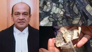 கட்டுக்கட்டாக பணம் எரிந்த வழக்கு.. அலகாபாத் உயர்நீதிமன்ற நீதிபதி யஷ்வந்த் வர்மா திடீர் ராஜினாமா!