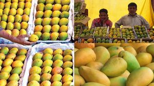 இந்திய மாம்பழங்கள் வேண்டாம்.. அதிரடியாக தடை விதித்த ஜப்பான்! பின்னணியில் ஷாக் காரணம்